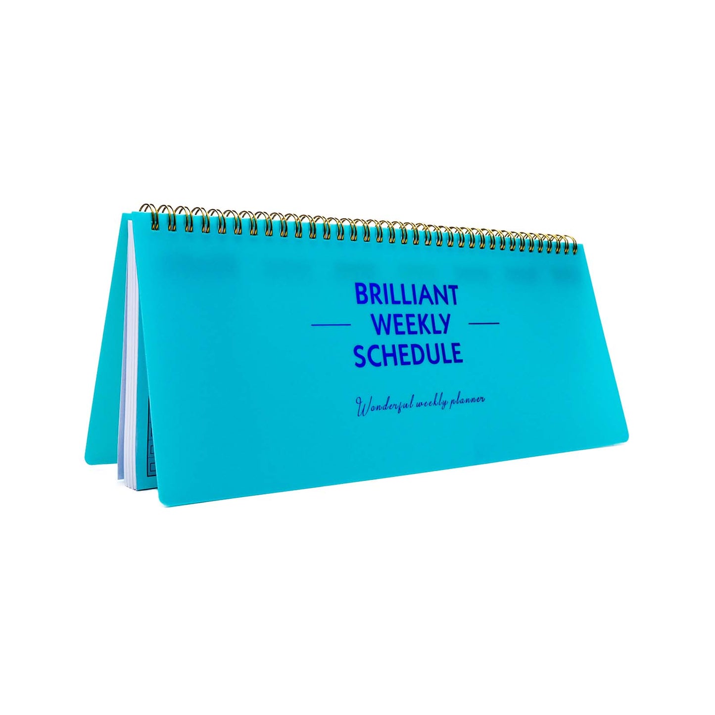 Weekly Planner Undated Weekly Schedule Whole Year Undated Planner Weekly To Do List Schedule Planner