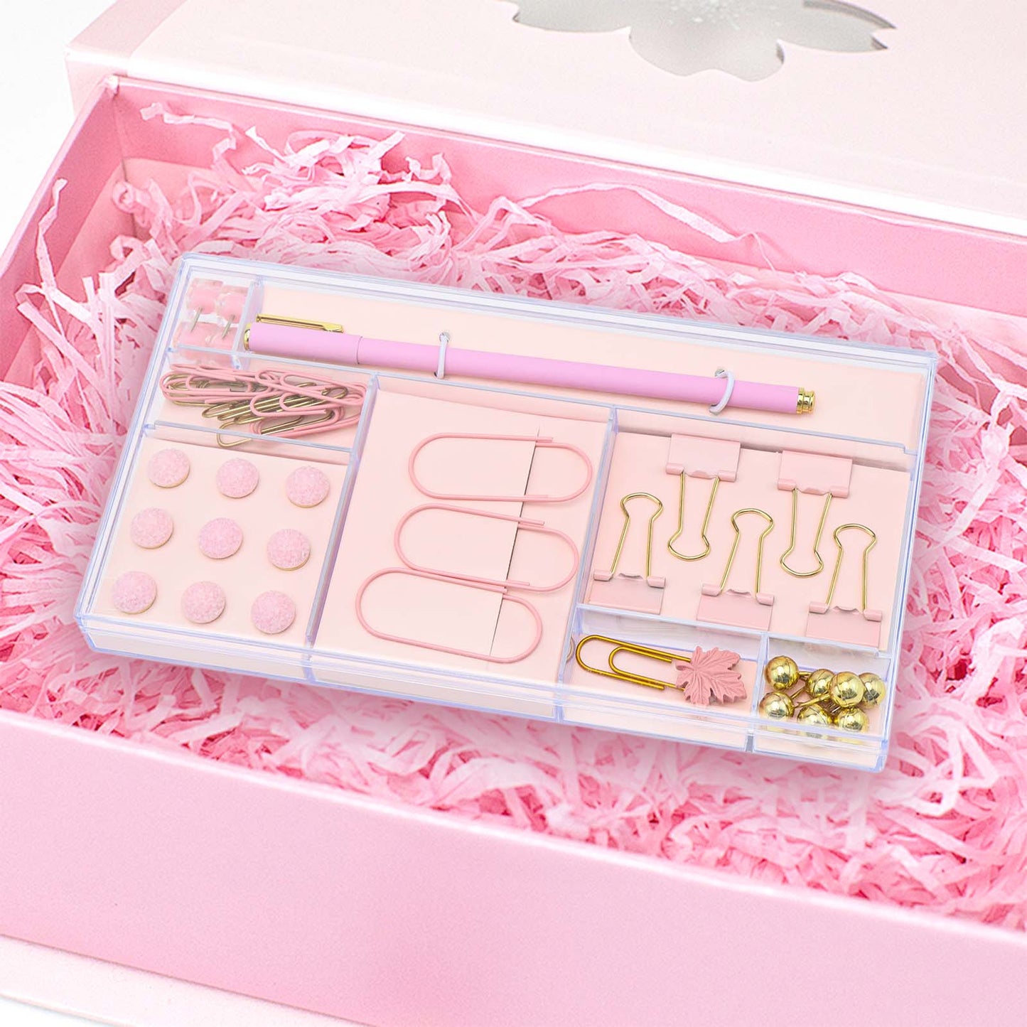 Paper Clips Binder Clips Push Pins Pen Set with Clear Acrylic Holder, Assorted Sizes Office Supplies Cute Stationery Set for Desk Organizer