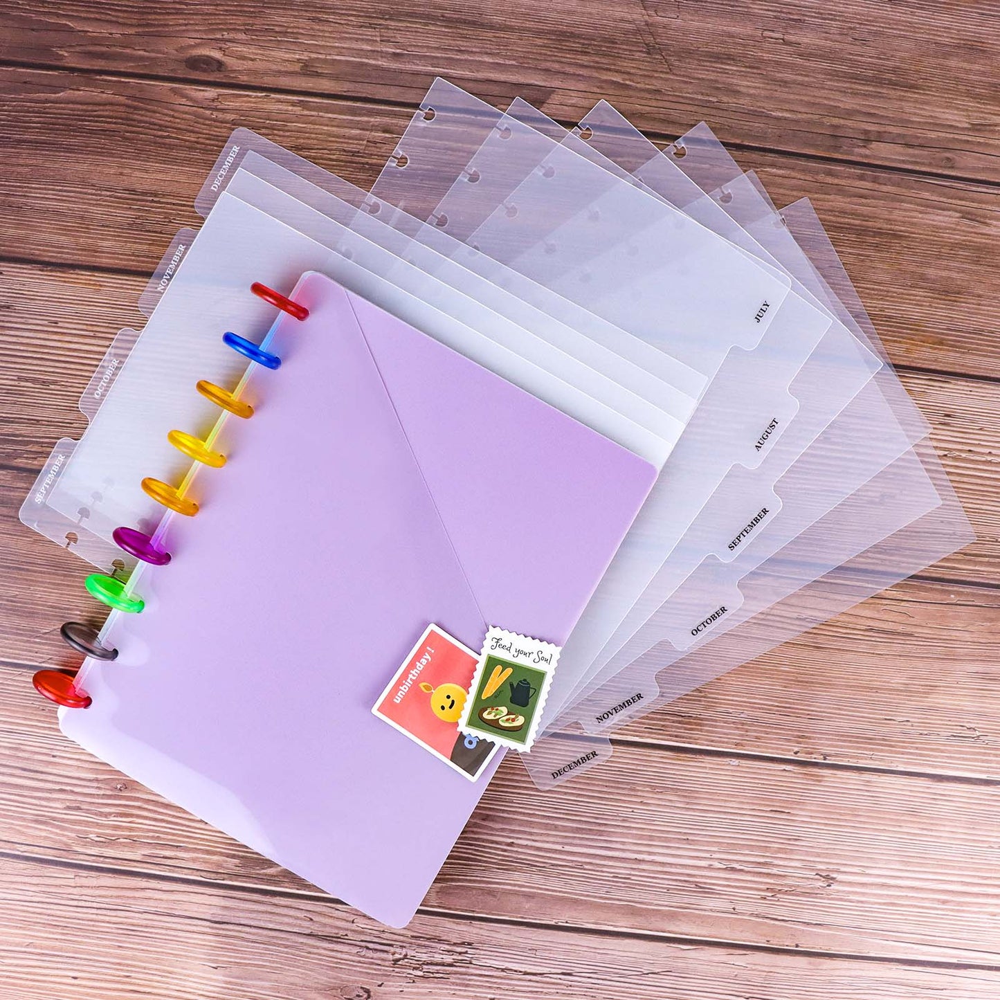 Discbound Pocket Dividers Colorful 9 Disc Planner Pocket Folder Frosted Translucent 6 Tabs & 4 Tabs Discbound Dividers